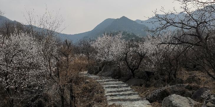 门头沟妙峰山镇160平米农村小院带菜园自建房便宜出租