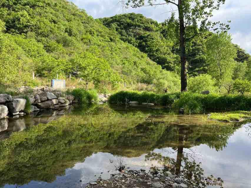 怀柔九渡河1000平米农村平房带小院有菜园有大树长期便宜出租