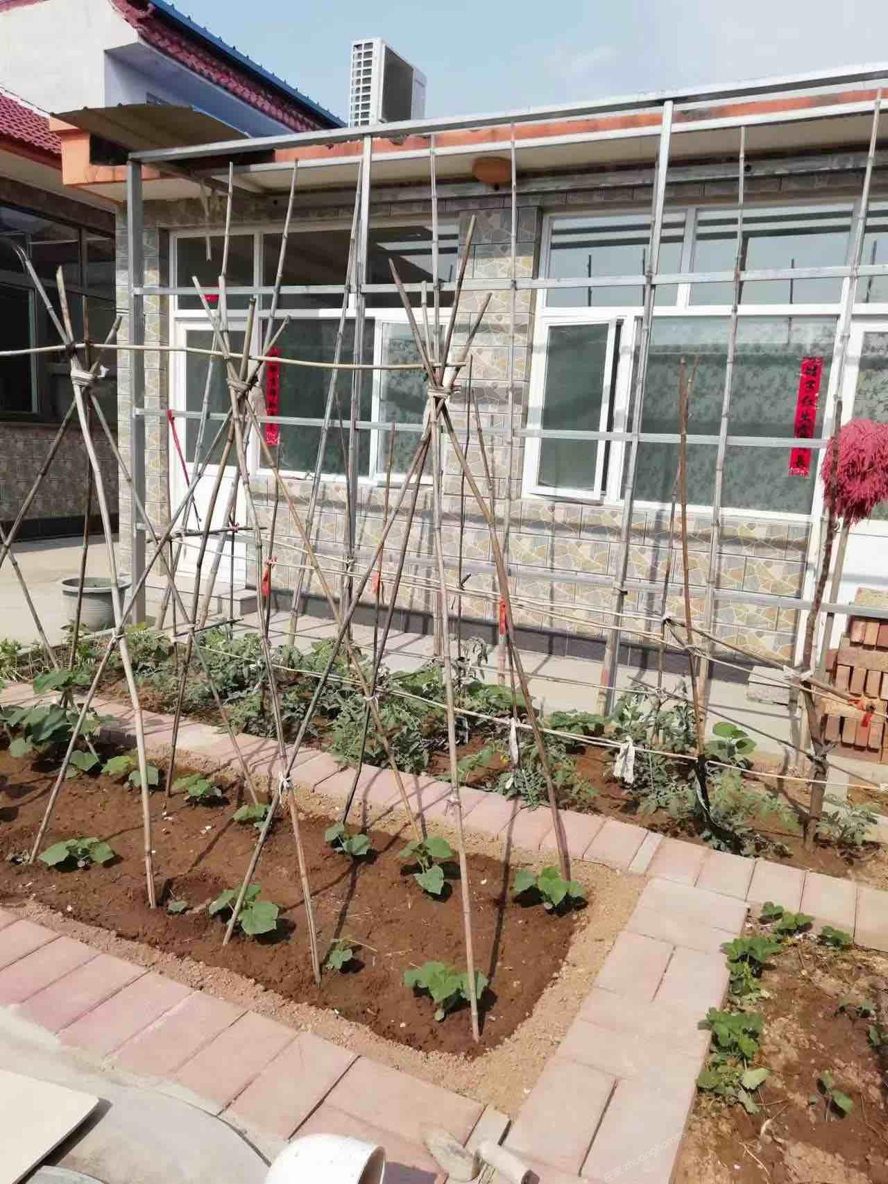 延庆县城350平米院农村平房带小院有菜园长期便宜出租