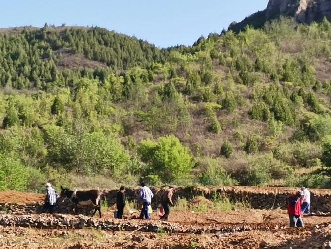 密云太师屯300平米独门独院农村自建房平房带小院有菜园长期便宜出租